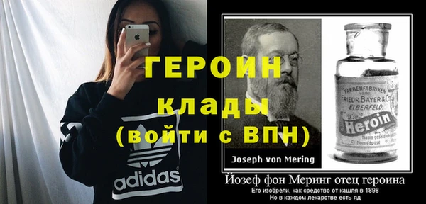 амф Ельня