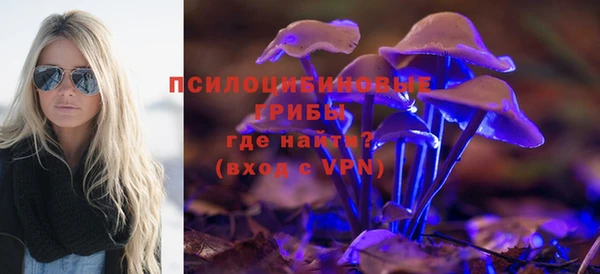 мдпв Елабуга