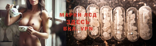 амф Ельня