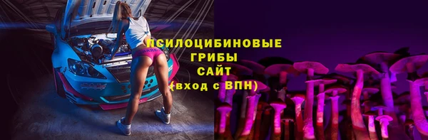 мдпв Елабуга