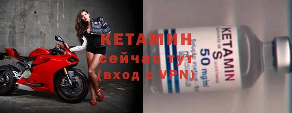 амф Ельня