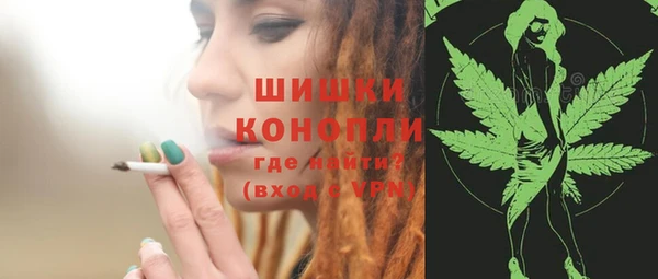 амф Ельня