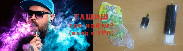 амф Ельня
