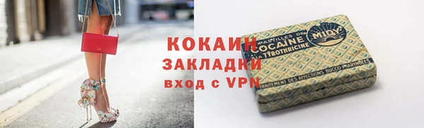 мдпв Елабуга