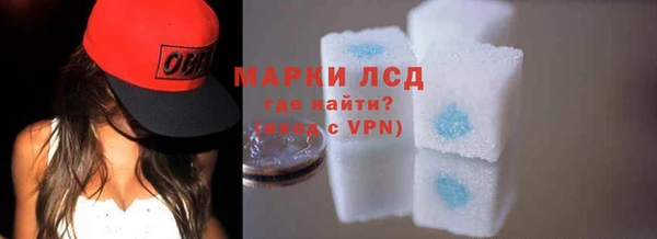амф Ельня