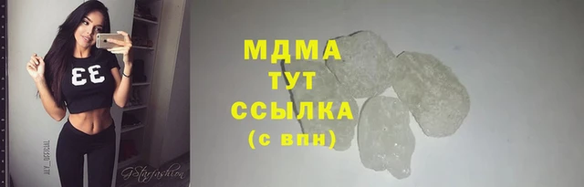 амф Ельня