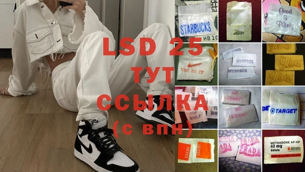 мдпв Елабуга