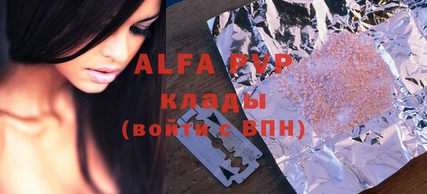 амф Ельня