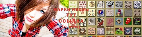 амф Ельня