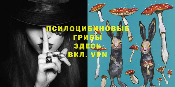 амф Ельня