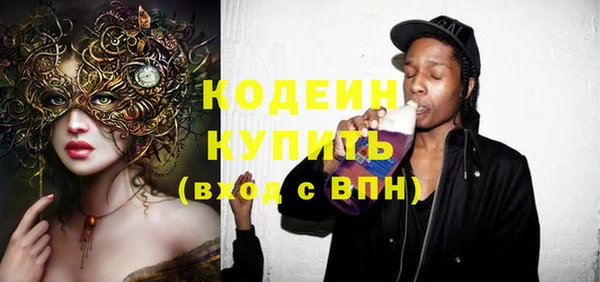 амф Ельня